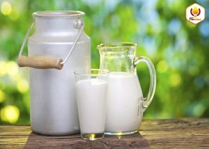 Những Ưu Điểm Của Sữa Dê Mang Lại.