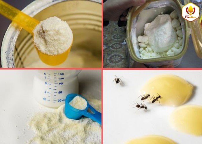 Sử dụng sữa như nào là đúng cách