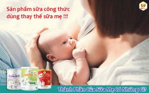 Thành Phần Của Sữa Mẹ