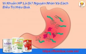 Vi Khuẩn HP Là Gì? Nguyên Nhân Và Cách Điều Trị Hiệu Quả