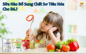 Sữa Nào Bổ Sung Chất Sơ Tiêu Hóa Cho Bé