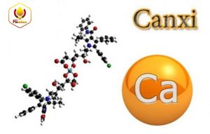 Canxi