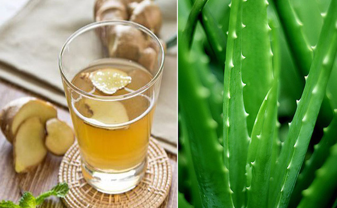 Trà Gừng Nha đam